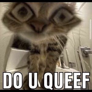 Meet your Posher, Skylar